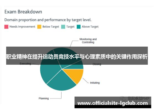 职业精神在提升运动员竞技水平与心理素质中的关键作用探析