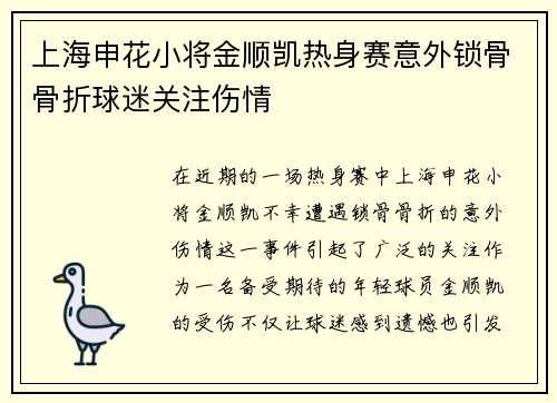 上海申花小将金顺凯热身赛意外锁骨骨折球迷关注伤情